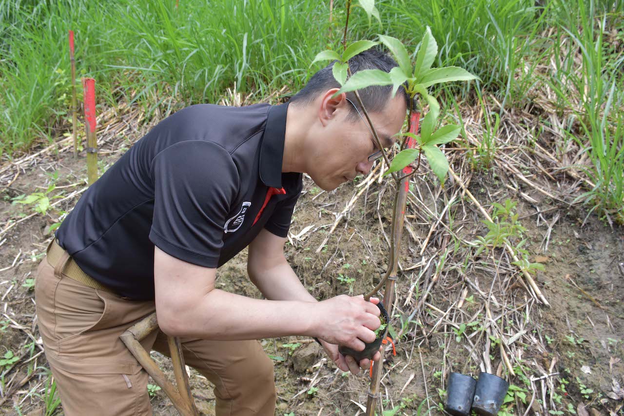 聯手守護台灣！台灣普利司通攜手林業保育署，以實際行動體現企業生態永續承諾_2