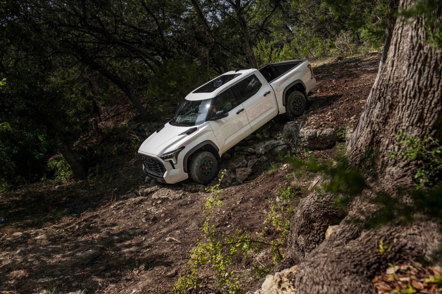 2025_Toyota_Tundra_TRD-Pro_Super-White_074-1500x1000